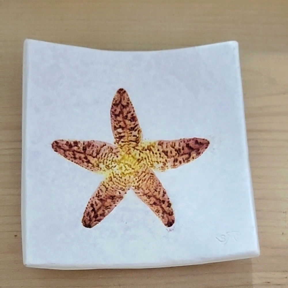 Salt Marsh Pottery S-Wave Collection Starfish